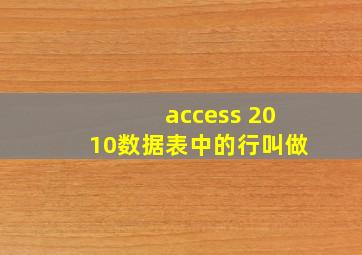 access 2010数据表中的行叫做